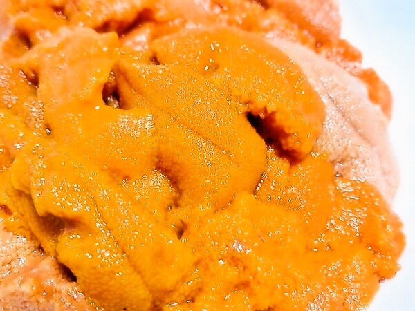 北海道利尻島のエゾバフンウニ♪お取り寄せ～～