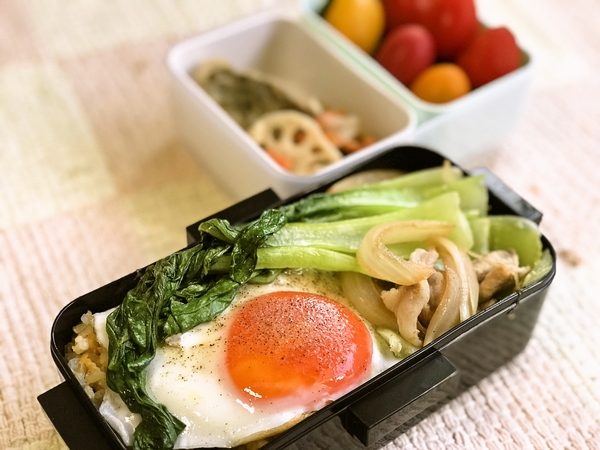 今日のお弁当