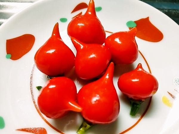 ビキーニョのピクルス