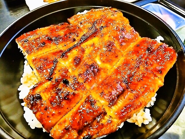 うなぎさんだよ～～～