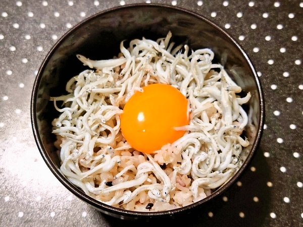 しらすごはん