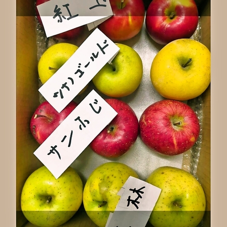 青森りんご 4種 紅玉３個 シナノゴールド３個 サンふじ３個 王林３個