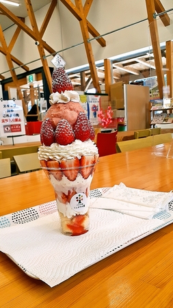 道の駅くしがきの里イチゴパフェ2000円