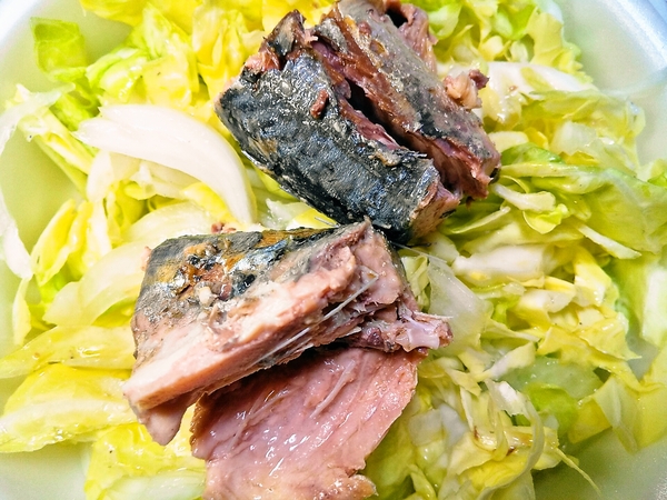 春キャベツと新タマネギと鯖の水着缶