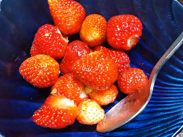 自家栽培イチゴ