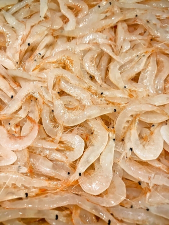 海鮮とうや　新潟