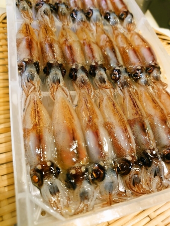 海鮮とうや　生ホタルイカ