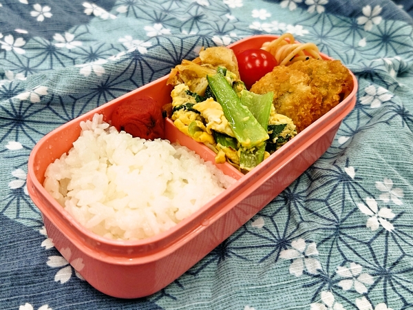今日の愛妻弁当♪230529