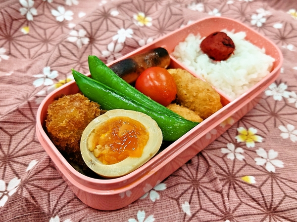 今日の愛妻弁当♪230601