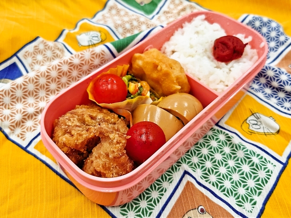 今日の愛妻弁当♪230613